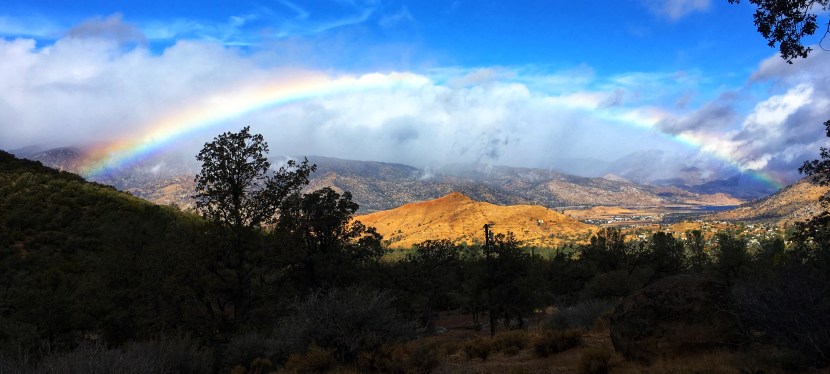 The Adventure Begins